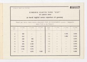 Cinghie piatte e trapezoidali per trasmissioni